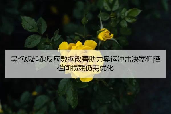 吴艳妮起跑反应数据改善助力奥运冲击决赛但降栏间损耗仍需优化