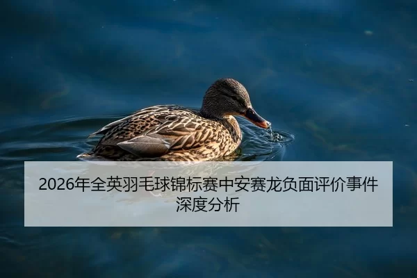 nian-quan-ying-yu-mao-qiu-jin-biao-sai-zhong-an-sai-long-fu-mian-ping-jia-shi-jian-shen-du-fen-xi-2-373.jpg