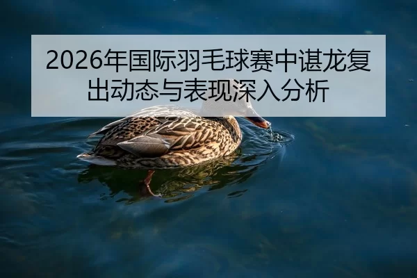 2026年国际羽毛球赛中谌龙复出动态与表现深入分析