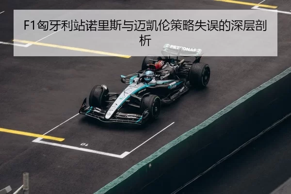 xiong-ya-li-zhan-nuo-li-si-yu-mai-kai-lun-ce-lve-shi-wu-de-shen-ceng-pou-xi-2-456.jpg