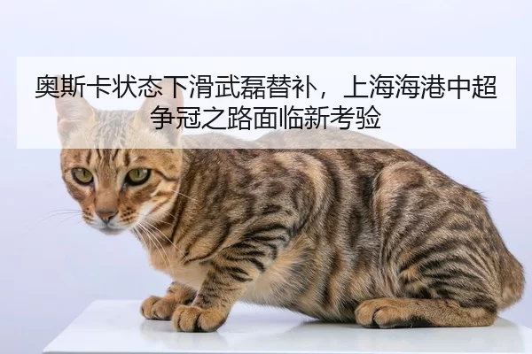 ao-si-ka-zhuang-tai-xia-hua-wu-lei-ti-bu-shang-hai-hai-gang-zhong-chao-zheng-guan-zhi-lu-mian-lin-xin-kao-yan-2-767.jpg