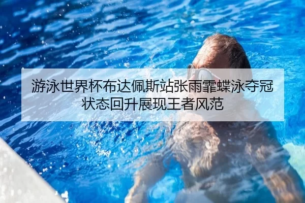 you-yong-shi-jie-bei-bu-da-pei-si-zhan-zhang-yu-fei-die-yong-duo-guan-zhuang-tai-hui-sheng-zhan-xian-wang-zhe-feng-fan-2-695.jpg
