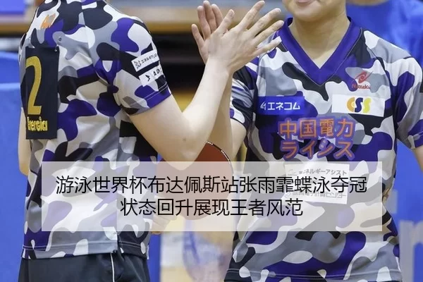 you-yong-shi-jie-bei-bu-da-pei-si-zhan-zhang-yu-fei-die-yong-duo-guan-zhuang-tai-hui-sheng-zhan-xian-wang-zhe-feng-fan-3-575.jpg