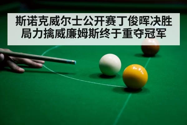 斯诺克威尔士公开赛丁俊晖决胜局力擒威廉姆斯终于重夺冠军
